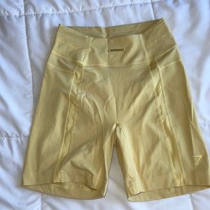 Whitney Simmons Gym shark spots